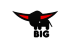 BIG