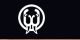 Walrus Audio