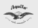 Aquila