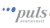 Puls Entertainment