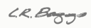 L.R. Baggs