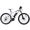 Fahrrad